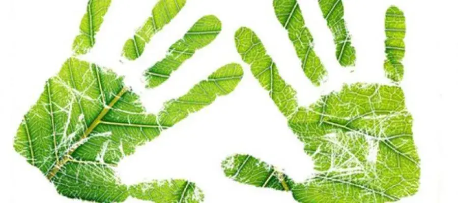 Sustainability