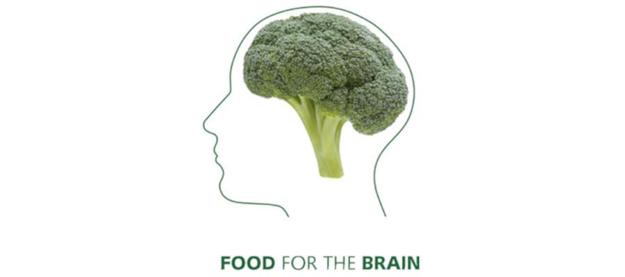 Food for brain logo showing a simple sketch of a human face with a broccoli to replace the brain