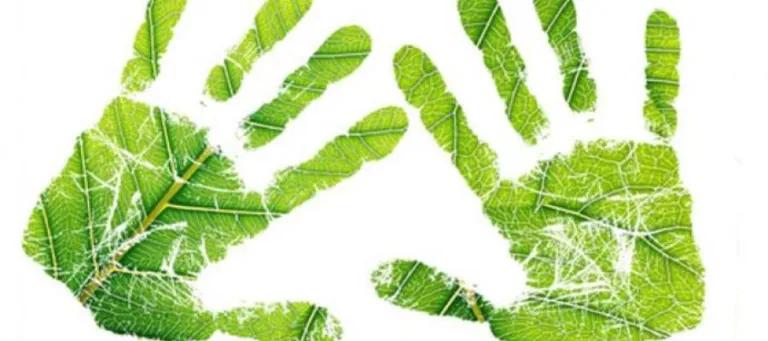 Sustainability