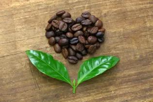 coffee beans in the shape of a heart